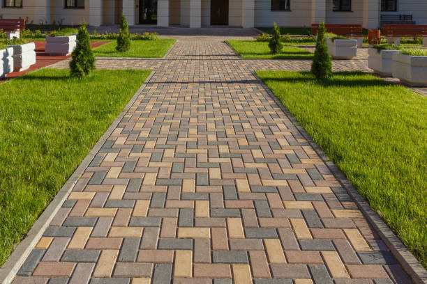 Best Best Driveway Pavers  in Meadowbrook, VA